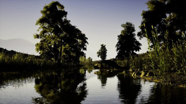 Sunlit wetland waterway surrounded by towering trees. Tranquil dawn setting showcasing verdant wetlands and mirrored waterways shaded by tall trees