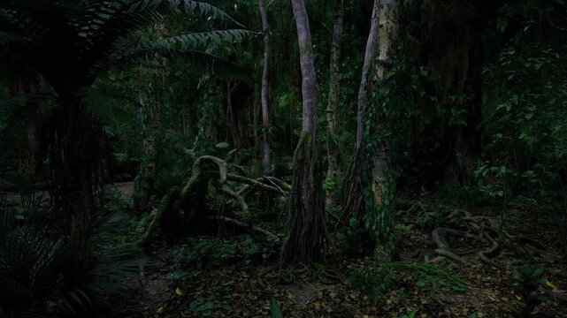 Mossy archway shrouded in dusk, wet trunks, hanging vines, soft shadows, deep silence, cinematic mood, ideal for mystery and ecology visuals