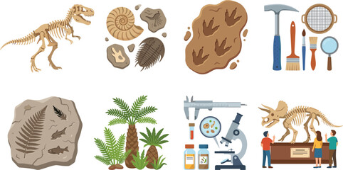 Dinosaur Fossil Discovery and Paleontology Research Illustration Set © Sabrina