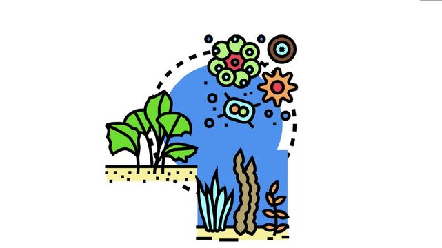 Marine algae feedstock concept diverse aquatic plants and microorganisms cultivated for renewable energy. Biotechnology. And agricultural purposes