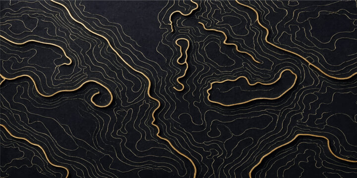 luxurious black and gold topographic map contour line background vector for modern premium design