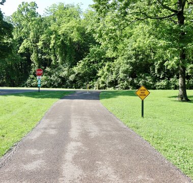 The empty pathway in the park on a sunny day.
