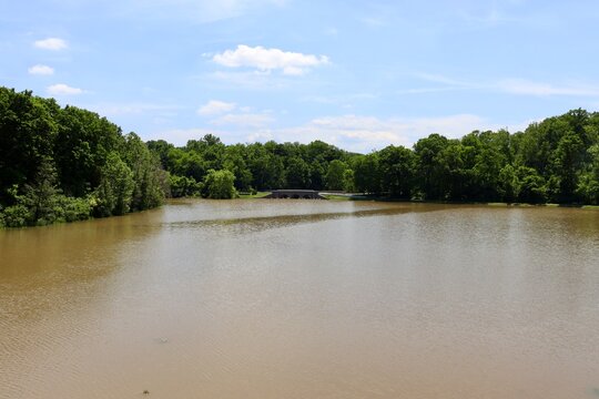The peaceful lake in the country one a sunny day.