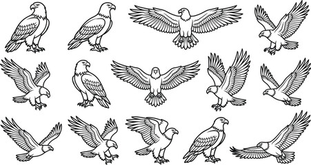 Obraz premium Large collection of eagle icons in various flight and pose states.
