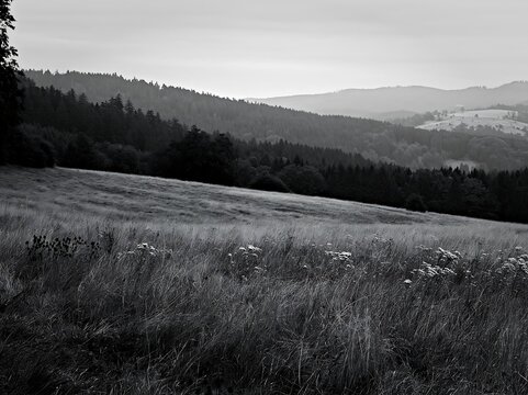 German foothill meadow with trees and hills in the background