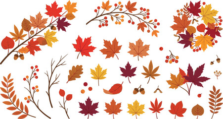 Obraz premium Autumn Foliage and Wreath Vector Collection with Maple Leaves Tree Branches and Berries Elements for Thanksgiving Seasonal Cards and Greeting Banner Designs