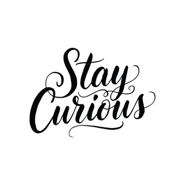 Handwritten calligraphy stay curious motivational quote on white background for design inspiration