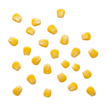 Fresh sweet corn kernels isolated on transparent background