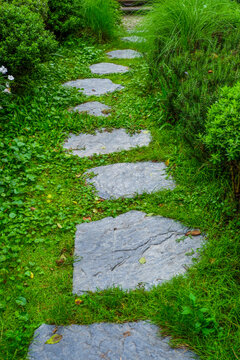 Garden landscape design with pathway in garden and footpath in picturesque summer park and staircase in backyard,Paving stones on floor in park,space for text.
