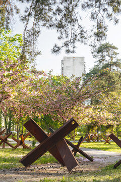 Cherry Blossom Park and Defensive Obstacles