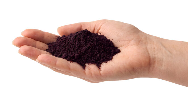 Hand holding organic purple acai berry powder