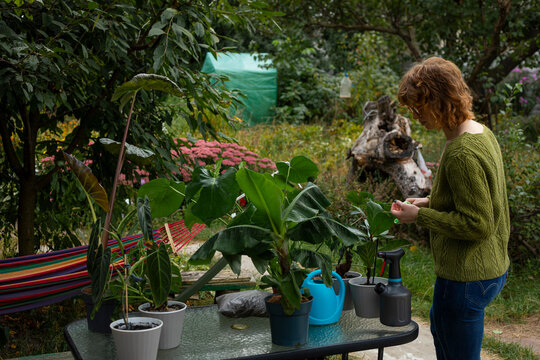 Woman caring for tropical houseplants in backyard garden
