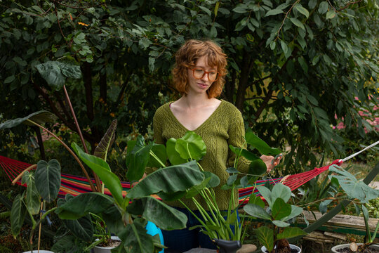 Woman inspecting tropical houseplants in outdoor garden