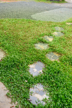 Garden landscape design with pathway in garden and footpath in picturesque summer park and staircase in backyard,Paving stones on floor in park,space for text.