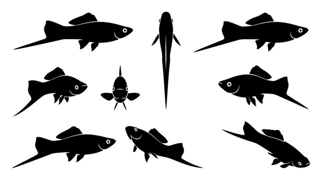 Black silhouette collection of swordtail fish in various swimming poses