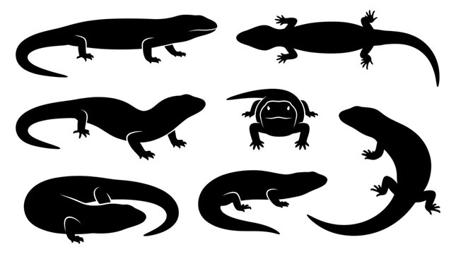 Set of black lizard silhouettes in various poses isolated on white background