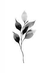 Obraz premium Minimalist black and white watercolor painting of a leafy branch.
