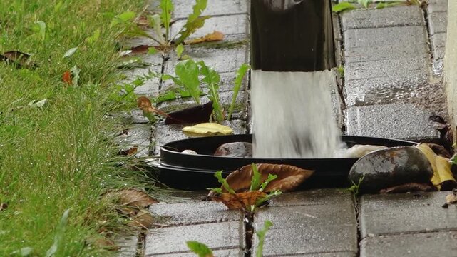 Rainwater flowing from black downspout onto wet stone pavement with green grass, weeds, and fallen autumn leaves nearby.