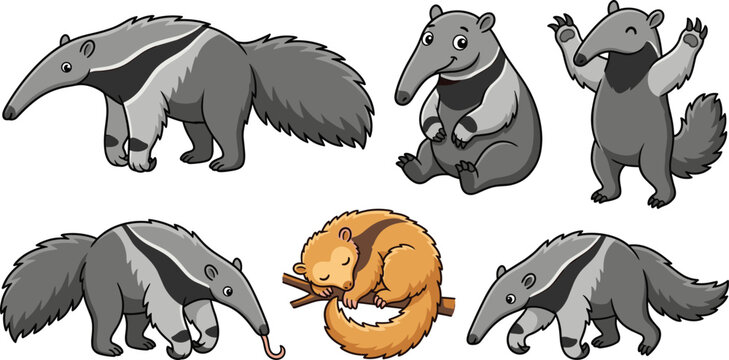 Cute Anteater Vector Illustration Set featuring Giant Anteater Tamandua Silky Anteater Walking Standing Tongue Out and Wildlife Animal Graphics
