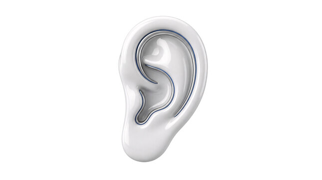 3d white human ear model with blue outline detail on png isolated background