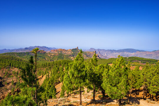 Scenic mountain landscape on Gran Canaria with Canary Island pine forest, volcanic rock formations and clear blue sky.