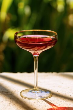Elegant coupe glass filled with deep ruby red cocktail on sunlit stone table in lush garden, delicate gold rim and slender stem reflecting warm sunlight