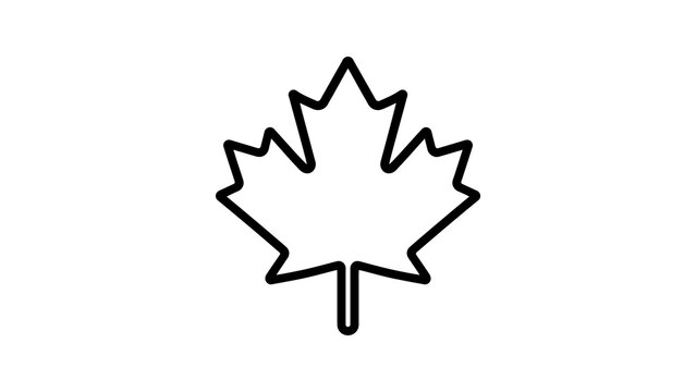 Canadian maple leaf outline for national symbols and design.