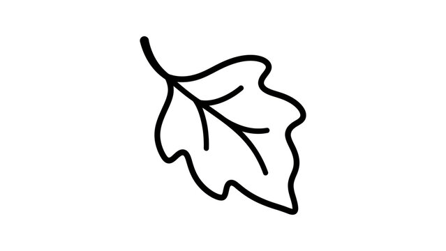 Outline drawing of a single oak leaf for natural fall decoration.