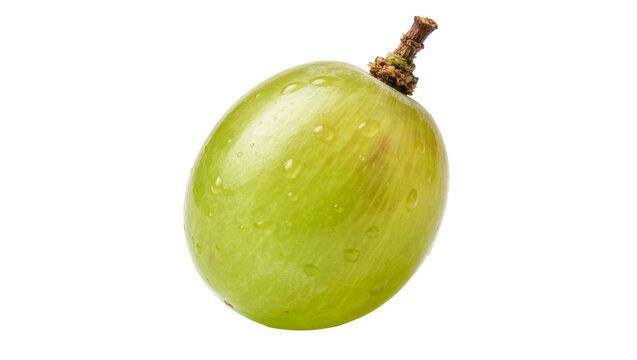 Single green grape with water droplets, isolated on transparent background
