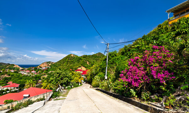 Narrow concrete road winding through lush tropical hills, colorful houses, and blooming bougainvillea in Terre-de-Haut, Les Saintes, Guadeloupe.