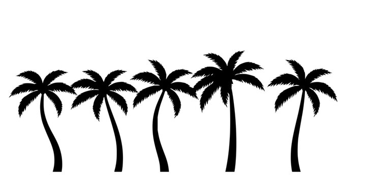 Four black silhouette palm trees with curved trunks, evenly spaced in a row against a white background. The trees have detailed fronds and are depicted in a minimalist, vector illustration style. T...