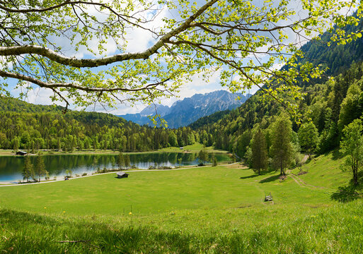 idyllic lake Ferchensee. green meadow and forest in may. hiking destination Mittenwald