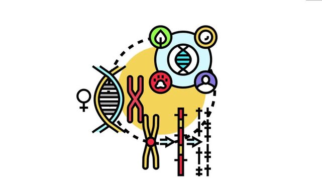 Method of loci concept dna, chromosomes, and genetic mapping for memory recall and spatial mnemonic techniques