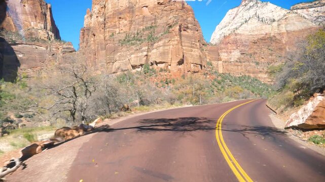 Pov driving along winding red asphalt road of Zion mount carmel highway, surrounded by majestic sandstone cliffs and canyons under clear blue sky on sunny day in utah. National park zion