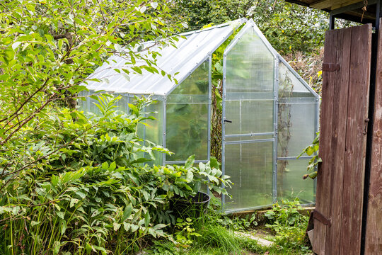 greenhouse in backyard of village house