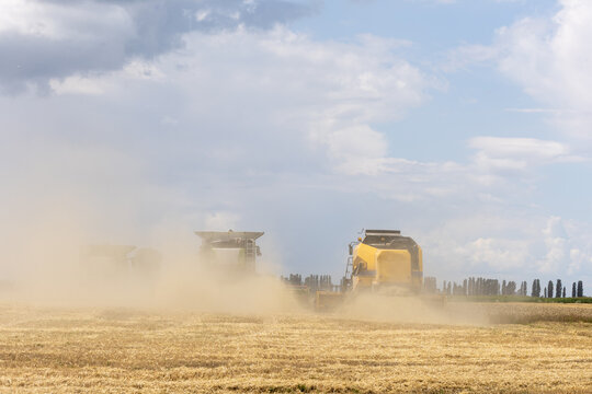Large yellow combine harvester raise dust while harvest wheat crop in a rural agricultural field under an overcast sky, with ample copy space in the clouds.
