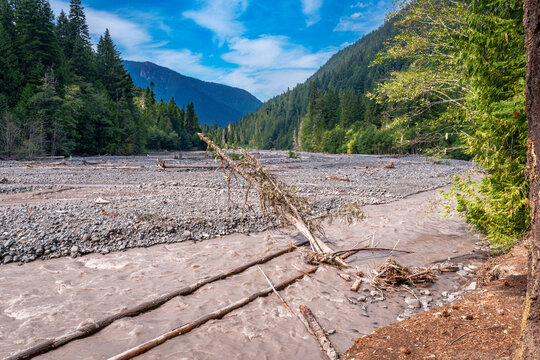 Washington Mountain River