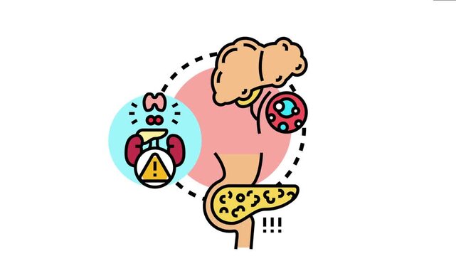 Metabolic fat burning process abstract concept depicting human organs involved in energy regulation, body health, and wellness, promoting active lifestyle