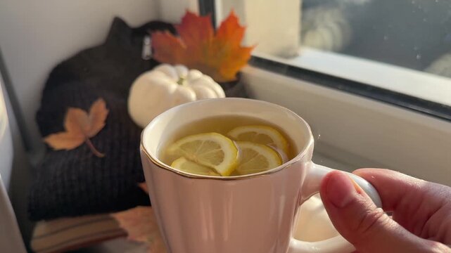 Hot cup of tea with lemon in white cup in woman hand with the background of cozy autumn decorations by the window. Warm sweaters, white pumpkins and maple leaves, making home cozy during fall season