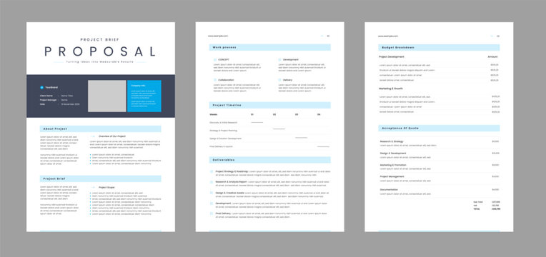 Brief Proposal Template, Brief Brochure Design
