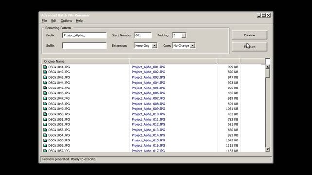 Batch File Renaming Software Interface Process