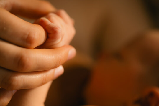 Newborn baby's small hand grasping an adult's finger, symbolizing the precious connection, parental care, affection, and the secure feeling of family support