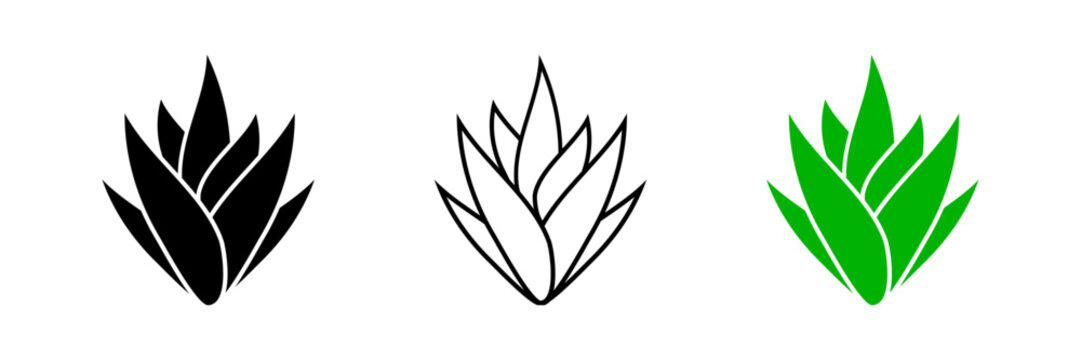 Aloe Vera Icon Set Isolated on Transparent Background. Green Herbal Plant and Botanical Leaf Collection for Natural Skincare, Cosmetic Brand, Sticker, and App Interface. Vector Illustration