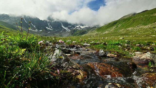 Clear stream flowing through grassy meadow with mountains