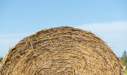 Round Hay Bale in Agricultural Field  © MARINA