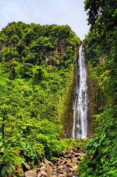 Second Carbet Falls surrounded by lush green tropical rainforest in Guadeloupe National Park, Caribbean France