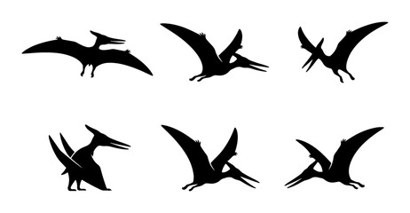 Pterodactyl Silhouettes, Prehistoric Flying Reptile Icons, Ancient Dinosaur Vector Set © Fahim
