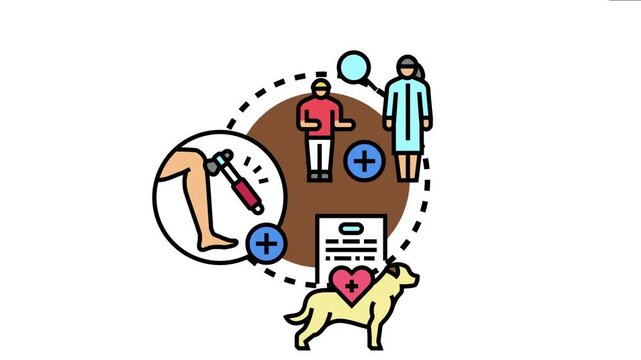 Medical wellness exam concept patient and doctor figures undergoing a health check, including a leg reflex test, and a dog representing pet healthcare or animal well being