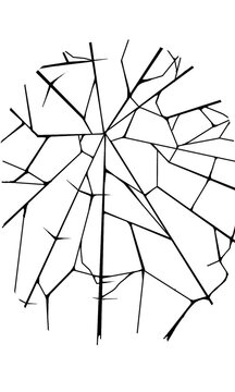 An abstract crack pattern radiating outward from a central point, with irregular lines of varying thickness forming a fractured, web-like visual structure.