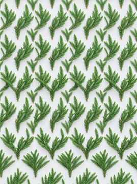 Minimalist Seamless Pattern of Norfolk Island Pine Branch Texture on Light Background